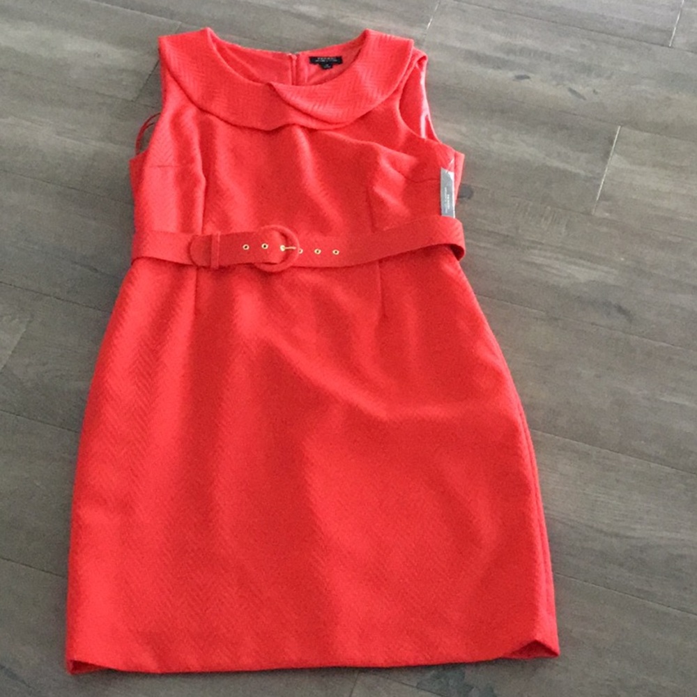 Tahari Collection Belted Dress